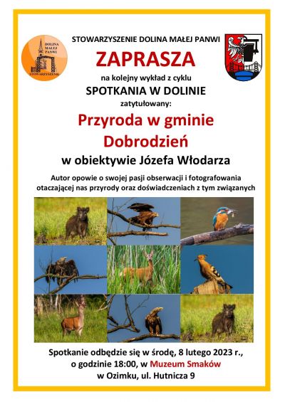 Przyroda w gminie Dobrodzień w obiektywie